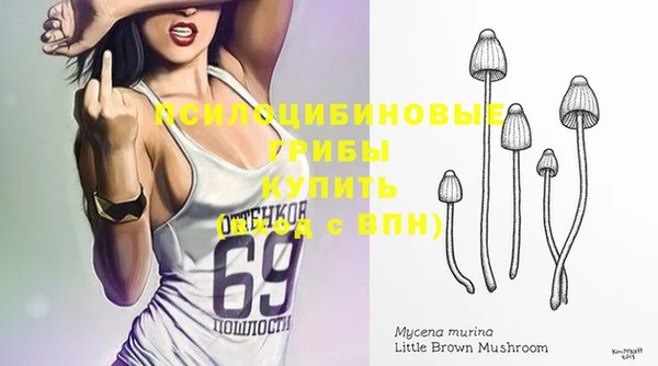 молекула духа Абаза
