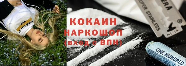 мет Инта